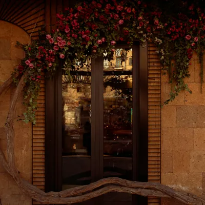 Cover image for La Pizzeria Italiana